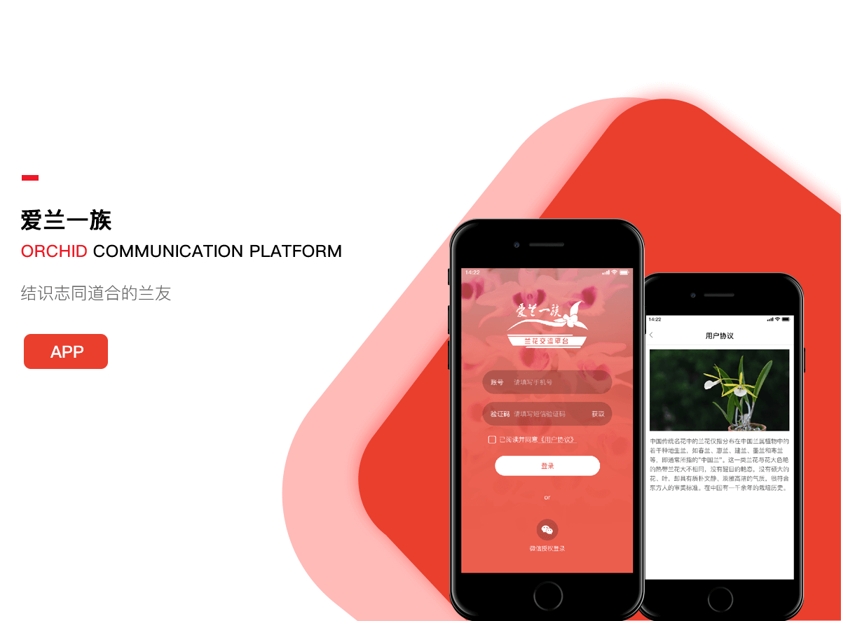 信息交流平臺(tái)APP 成都交流app開發(fā)
