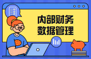 內(nèi)部財(cái)務(wù)數(shù)據(jù)管理系統(tǒng)--億合科技